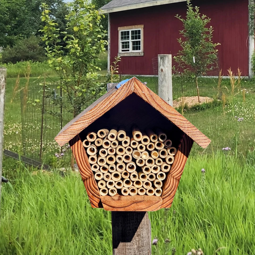 Bee Houses For Mason and Leafcutter Bees - Mason and Monarch