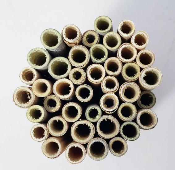 Bee Nesting Tubes - Mason and Monarch