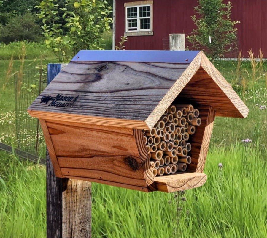 Bee House for Native Solitary Bees - Mason and Monarch