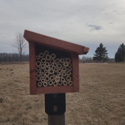 Small Modern Bee House for Native Solitary Bees