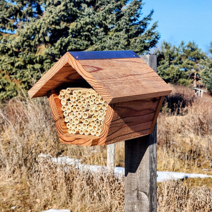 Bee House for Native Bees - Mason and Monarch