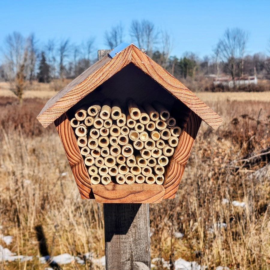 Bee House for Native Bees - Mason and Monarch