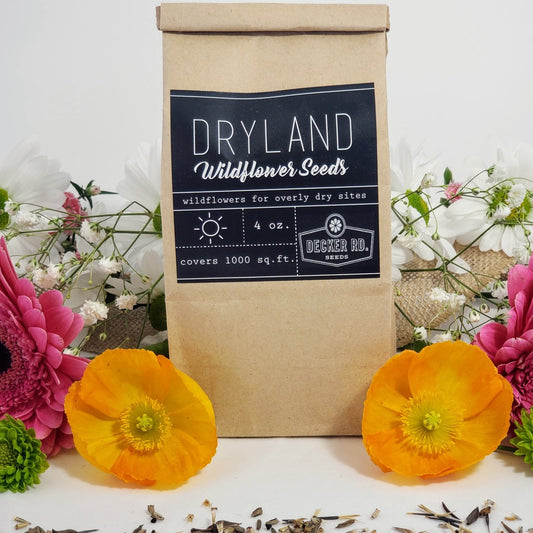 Dryland Wildflower Mix - Mason and Monarch