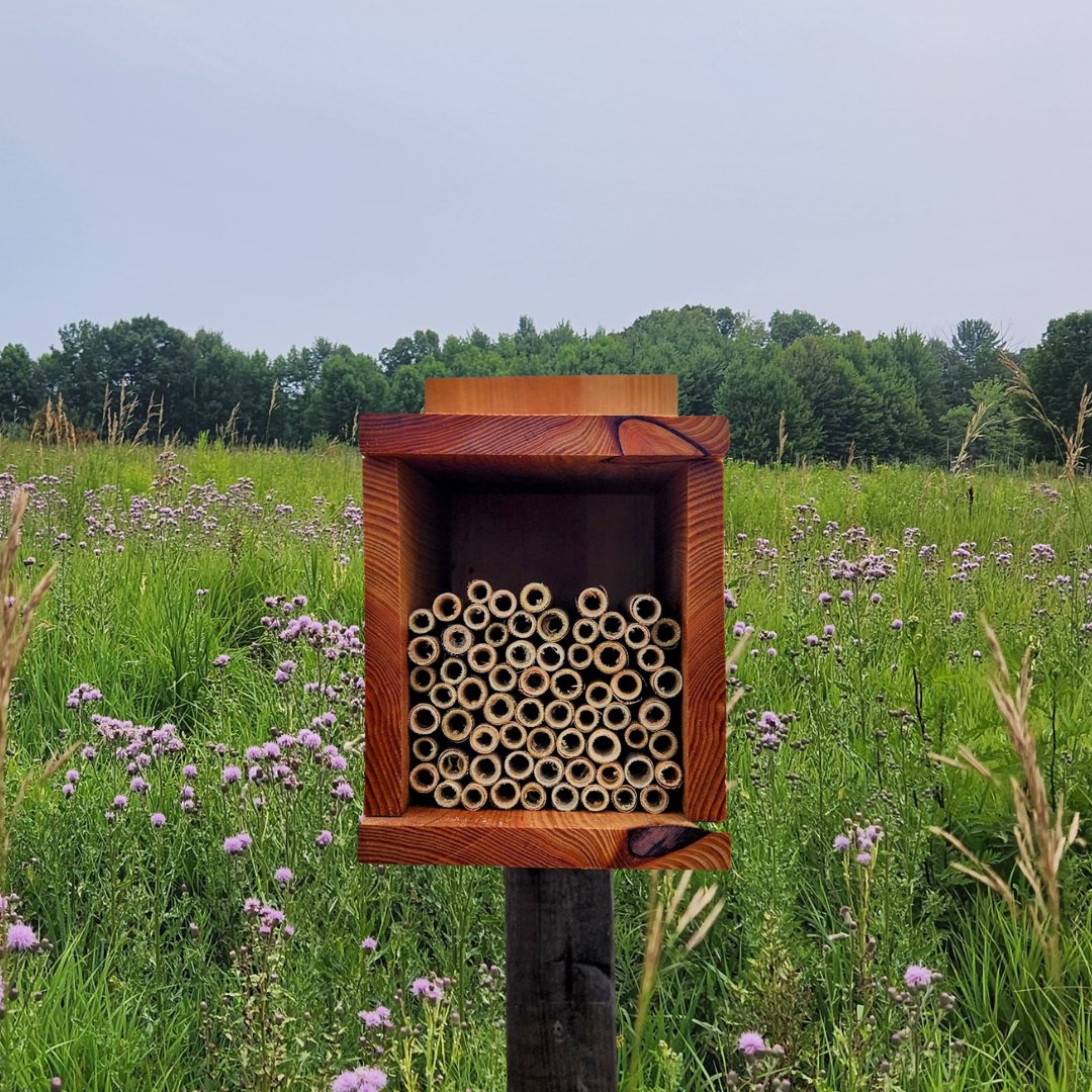 Simple Square Bee House for Native Solitary Bees - Mason and Monarch