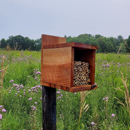 Simple Square Bee House for Native Solitary Bees - Mason and Monarch