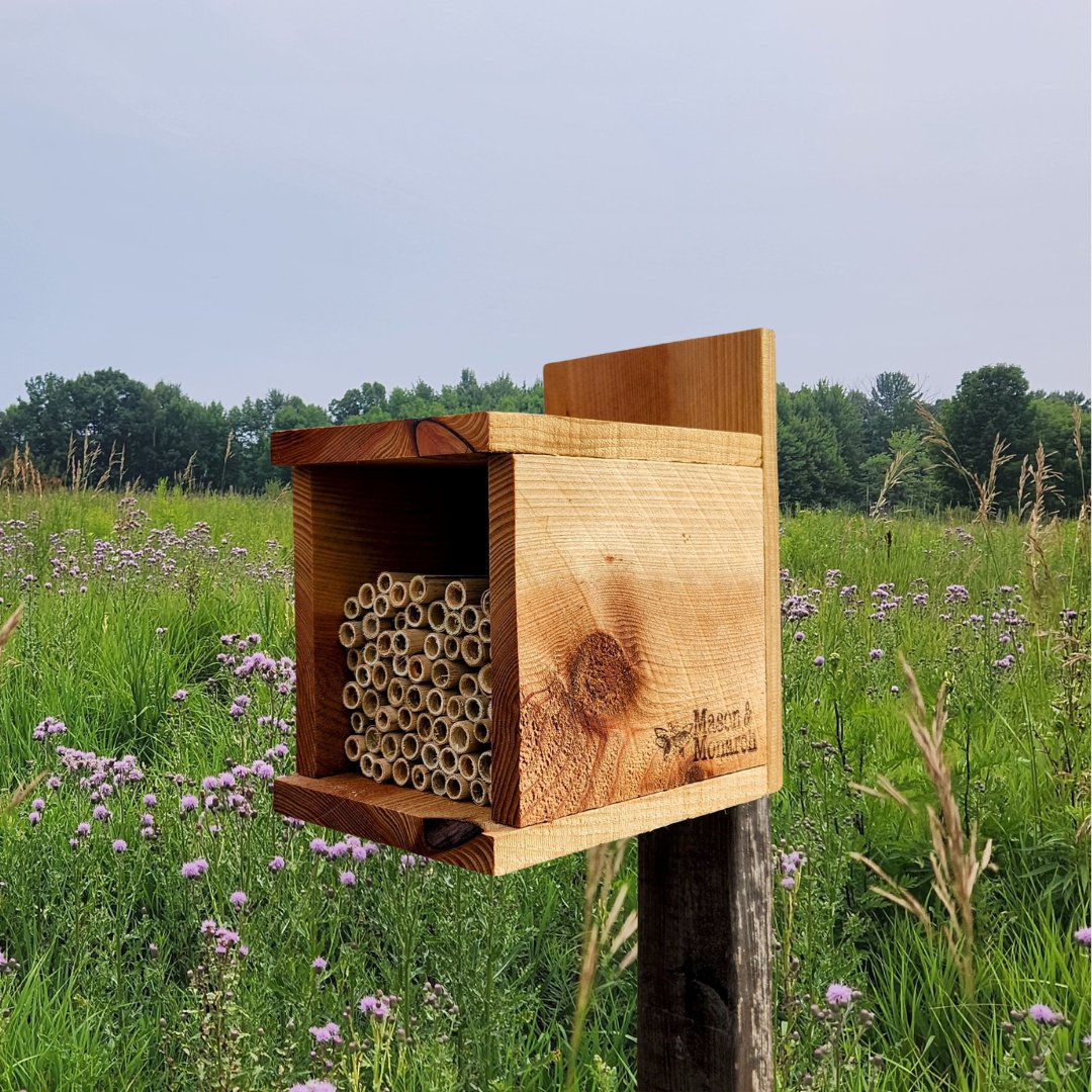 Simple Square Bee House for Native Solitary Bees - Mason and Monarch