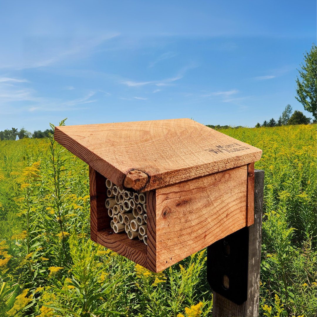 Small Modern Bee House for Native Solitary Bees - Mason and Monarch