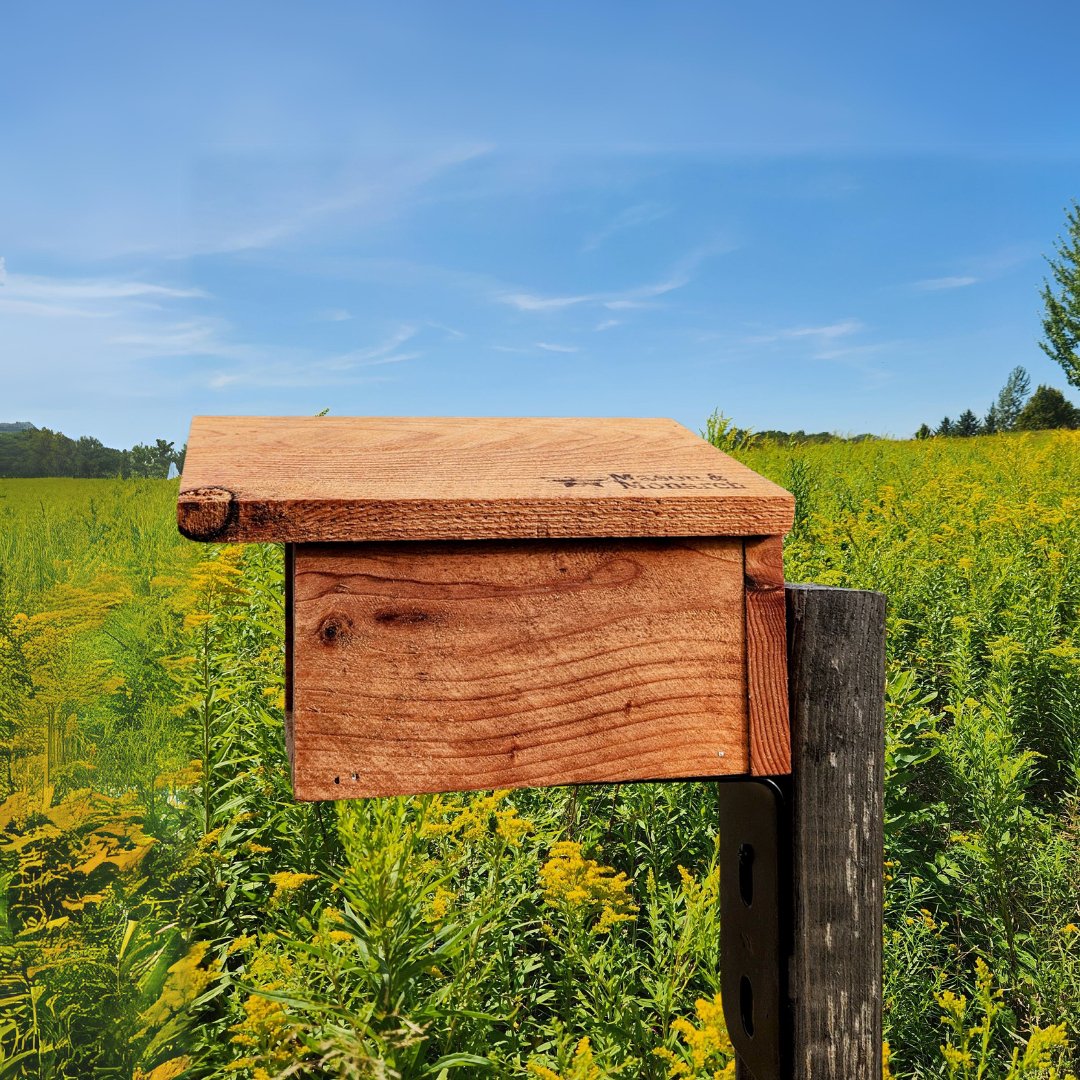 Small Modern Bee House for Native Solitary Bees - Mason and Monarch