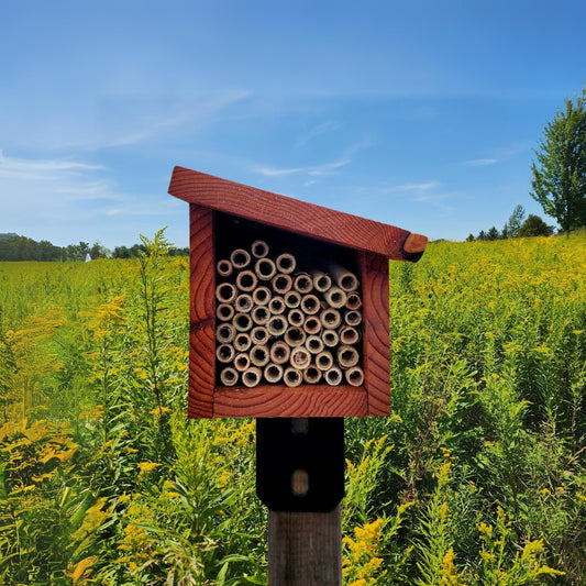 Small Modern Bee House for Native Solitary Bees - Mason and Monarch