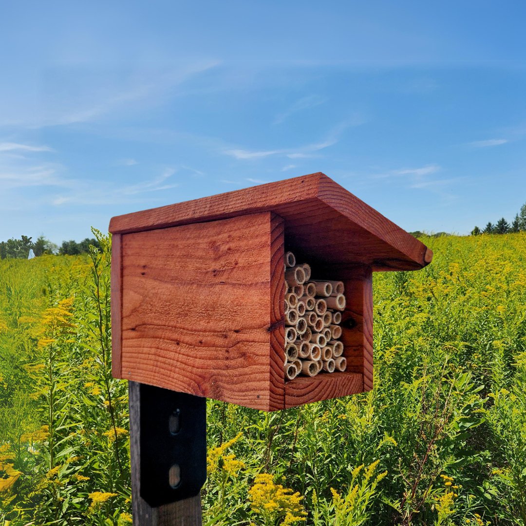 Small Modern Bee House for Native Solitary Bees - Mason and Monarch