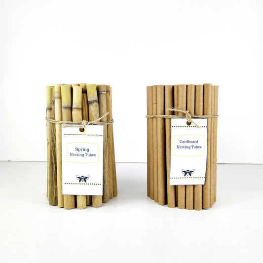 Spring Phragmite Reeds and Cardboard Tubes Nesting Material Pack - Mason and Monarch